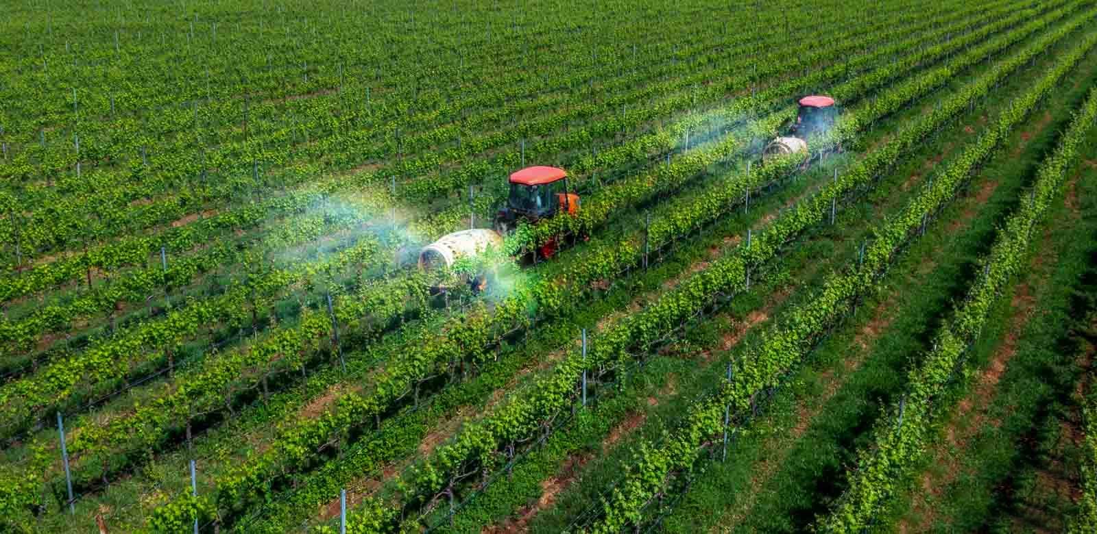 Tham gia mạng lưới hợp tác